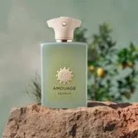 عطر خالص آمواج سرچ شرکت لوزی
